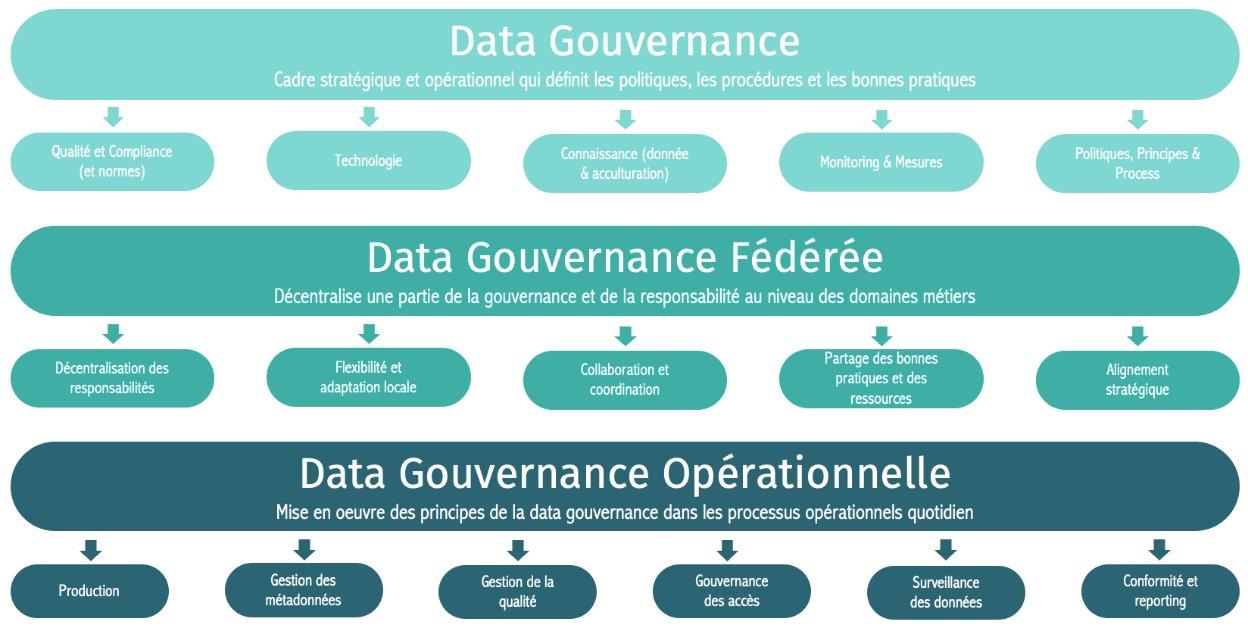 Layered model of Data Governance: Data Governance, Federated Data Governance, Operational Data Governance