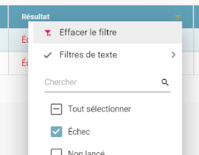 Filter on the Résultat (Result) column with the Échec (Failure) option selected